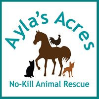 Ayla’s Acres No-Kill Animal Rescue